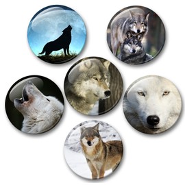 Wolf Wolf Grey Wolf European Wolf Fridge Magnets Set of 6 Large [01]