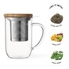 VIVA Minima Balance Glass Infuser Tea Cup - 17 oz
