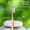 Answers by Nature Answers by Nature Natural Bristle Toothbrush [4-Pack],