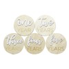 Wooden 3D Monthly Milestone Discs for Baby Photos (20 pcs