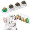 MisFun Catnip Ball, Catnip, Cat Accessories, 4 in 1 Catnip