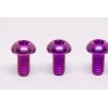 Rippin Moto Titanium Front Rotor Bolts (6 Pack) for Sur-Ron