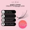 LLBA Promade Wispy Lash Extensions 9D 0.05, 100% Handmade Eyelashes