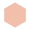 INTEGRATE GRACY Moist Pact EX Ochre Regular Product Pink Ochre