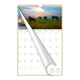 2025 Wall Calendar Spiral-bound Twin-Wire Binding - 12 Months Planner 11" x 17" - Large Ruled Blocks with Julian Dates - (Horses)