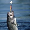 Realistic Fishing Lures | Practical Swimbait for Bass,Realistic Bass Fishing