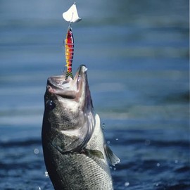 Realistic Fishing Lures | Practical Swimbait for Bass,Realistic Bass Fishing Lures, Multi Jointed 8-Section Swimbait Bait Trout Perch for Outdoors, Camping