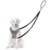 Adiwo Two Point Control Dog Leash, Professional Anti-Pull Dog Lead