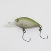 Rodeo Craft x Lucky Craft RC Deep Clappie 22 Ino