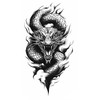 6 x Temporary Dragon Tattoo Fake Tattoo Fantasy Dragon6