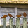gvivej Pack of 4 Rust Birds, Rust Decoration, Patina Birds