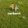 Cacharel Noa Eau de Toilette für Damen, blumig-holziger Duft, elegantes