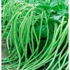 30PCS Bush Long Green Bean Seeds Non-GMO Vegetable Seeds Heirloom