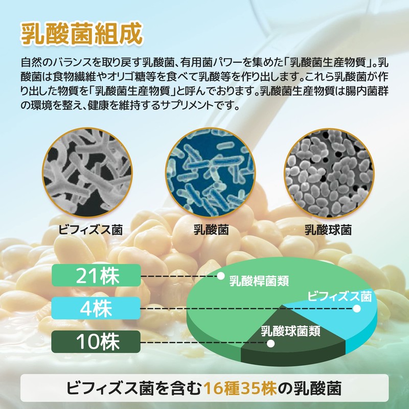 乳酸菌生成エキス 乳酸菌 サプリ プロバイオティクス サプリメント 乳酸菌 ビフィズス菌 乳酸球菌 腸内環境整えるサプリ 腸活