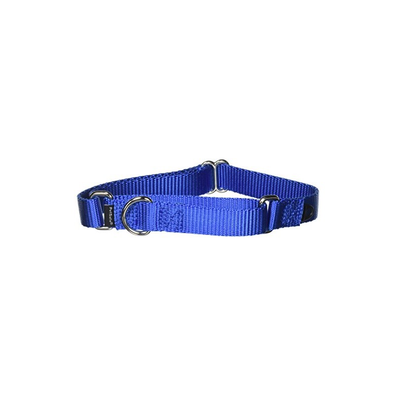 PetSafe Adjustable Martingale Collar - Only Tightens When Dogs Pull,