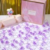 50 Pieces 2.75 Inch Baby Pacifier Baby Shower Plastic Pacifier
