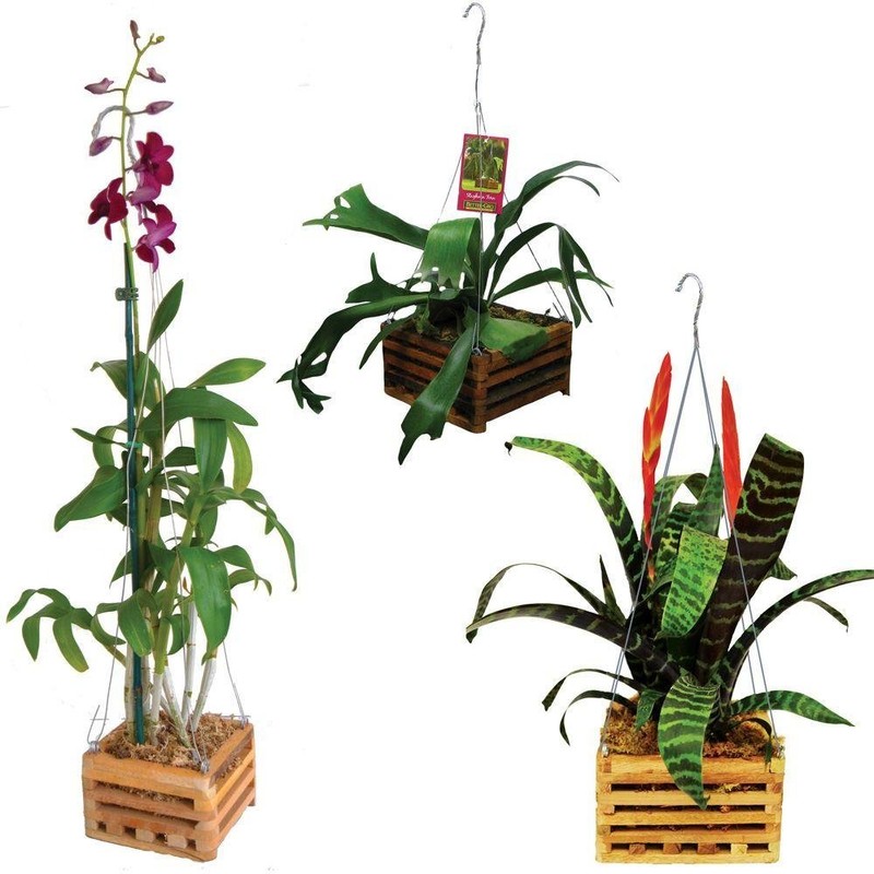 4" Natural Wooden Square Hanging Basket Outdoor Garden Planters 2-Pack