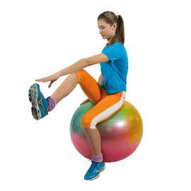 Gymnic Arte Plus Burst-Resistant Exercise Ball (75 cm)