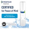 Pentair Pentek DGD-2501-20 Big Blue Water Filter, 20-Inch Whole House