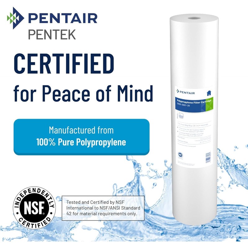 Pentair Pentek DGD-2501-20 Big Blue Water Filter, 20-Inch Whole House