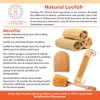 Natural Loofah (loofa, lufa) Back Strap Terry Cloth Back Spa