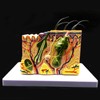 Skin Model, 35X Enlarged Anatomical Model Anatomy for Science Classroom