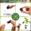 Ziliny 200 Pcs Grow Sponges Pods Kit, Includes 100 Grow