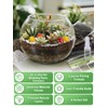 Terrarium Kit Adults - Includes Pumice, Moss, Soil, Pebbles, Charcoal,