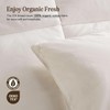BPC Organic Feather Down Comforter Oversized King, Fluffy Duvet Insert