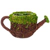 SuperMoss (55259) 5" Deco Watering Can Planter Basket, Small