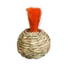 Prevue Pet Products Grassy Nibblers Squash Small Animal Chew Toy