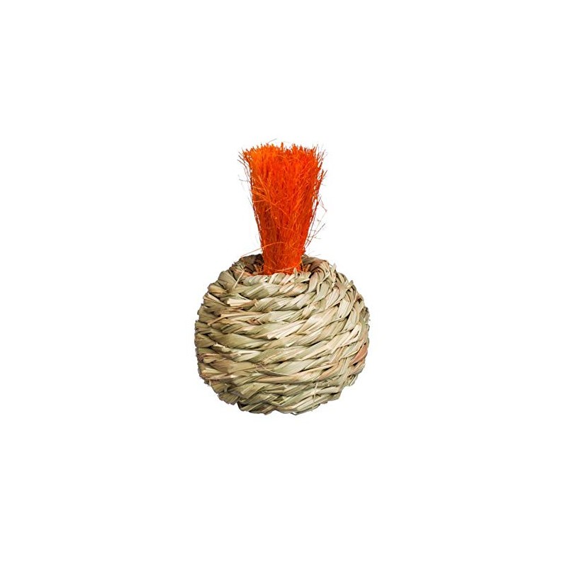 Prevue Pet Products Grassy Nibblers Squash Small Animal Chew Toy