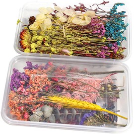 Flores secas mixtas naturales prensadas para resina y epoxy, 2PCS, decorativas para velas DIY