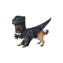 California Costumes Dog Pupasaurus Rex Costume Large