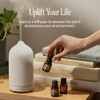 Cliganic Set de 5 Aceites Esenciales Orgánicos para Difusor, 15
