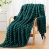 RUIKASI Fleece Throw Blanket for Sofa - Single Fluffy Emerald