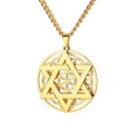 Amaxer Star of David Flower of Life Necklace for Women Mandala Sacred Geometry Protection Statement Family Pendant Chain Necklace, Stainless Steel, Stainless Steel