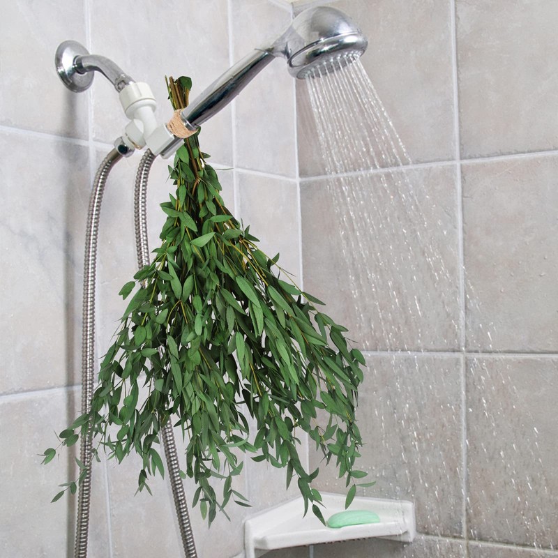HIAGROW Real Eucalyptus Stems Greenery Decor 20PCS 17" Dried Willow