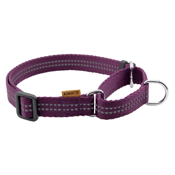 Aiminto Adjustable Nylon Reflective Martingale Dog Collar for Training and