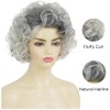 Grey Short Curly Wig Womens Fluffy Natural Looking Wig Synthetic