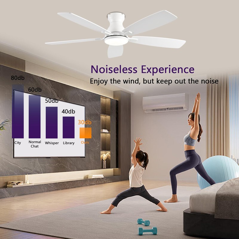 NKPU 52inch Ceiling Fans with Lights, Low Profile Ceiling Fan