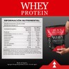 Birdman Creatina Monohidratada Proteína Whey Black Pegasus