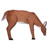 OnCore Targets Oncore Feeding Deer Target Small Brown