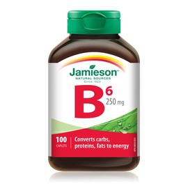 Jamieson Jamieson Vitamin B6 Pyridoxine 250 mg, 100 Count (Pack of 1)