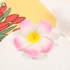 4Pcs Hair Flower Clips, 7cm White and Pink Hawaiian Frangipani,