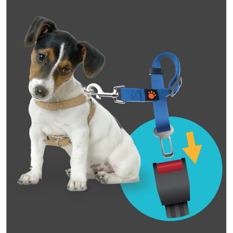 Animals & denn 170004 Adapter Gürtel Sicherheit Tiere