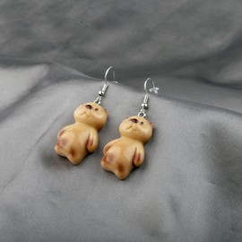 Sea Otter Earring Otter Jewelry for Women Sea Animals Otter Lover Sea Otter Themed Earring (otter earring CA)