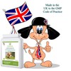 Paddipaws Dog Joint tablets - High Strength Hip and Joint