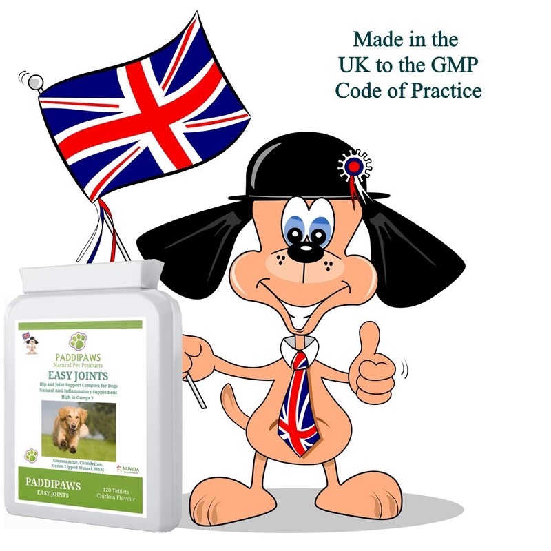 Paddipaws Dog Joint tablets - High Strength Hip and Joint