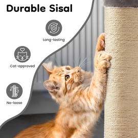Keygarzone Cat Scratching Post: 22 inch Tall Cat Scratcher with Sisal Rope,Cute Monster Scratch Pole for Indoor Cats, Sturdy Cat Scratch Post for Kittens & Large Cats, Grey